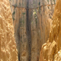 caminitodelrey02.png