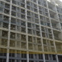 xiongmai_1.png